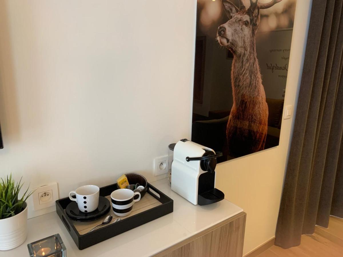 Q Studio Herzele Dış mekan fotoğraf